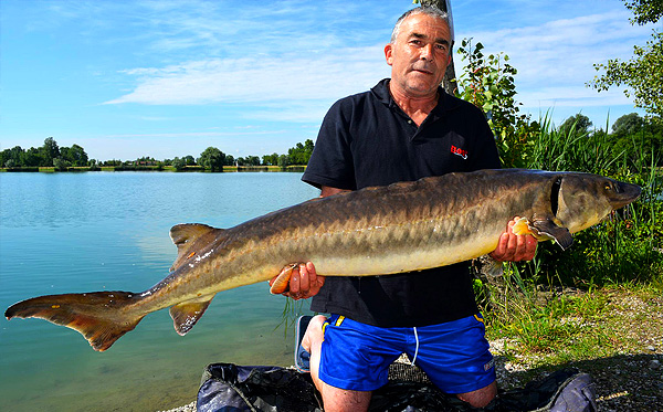 gallery-park-info-img-8